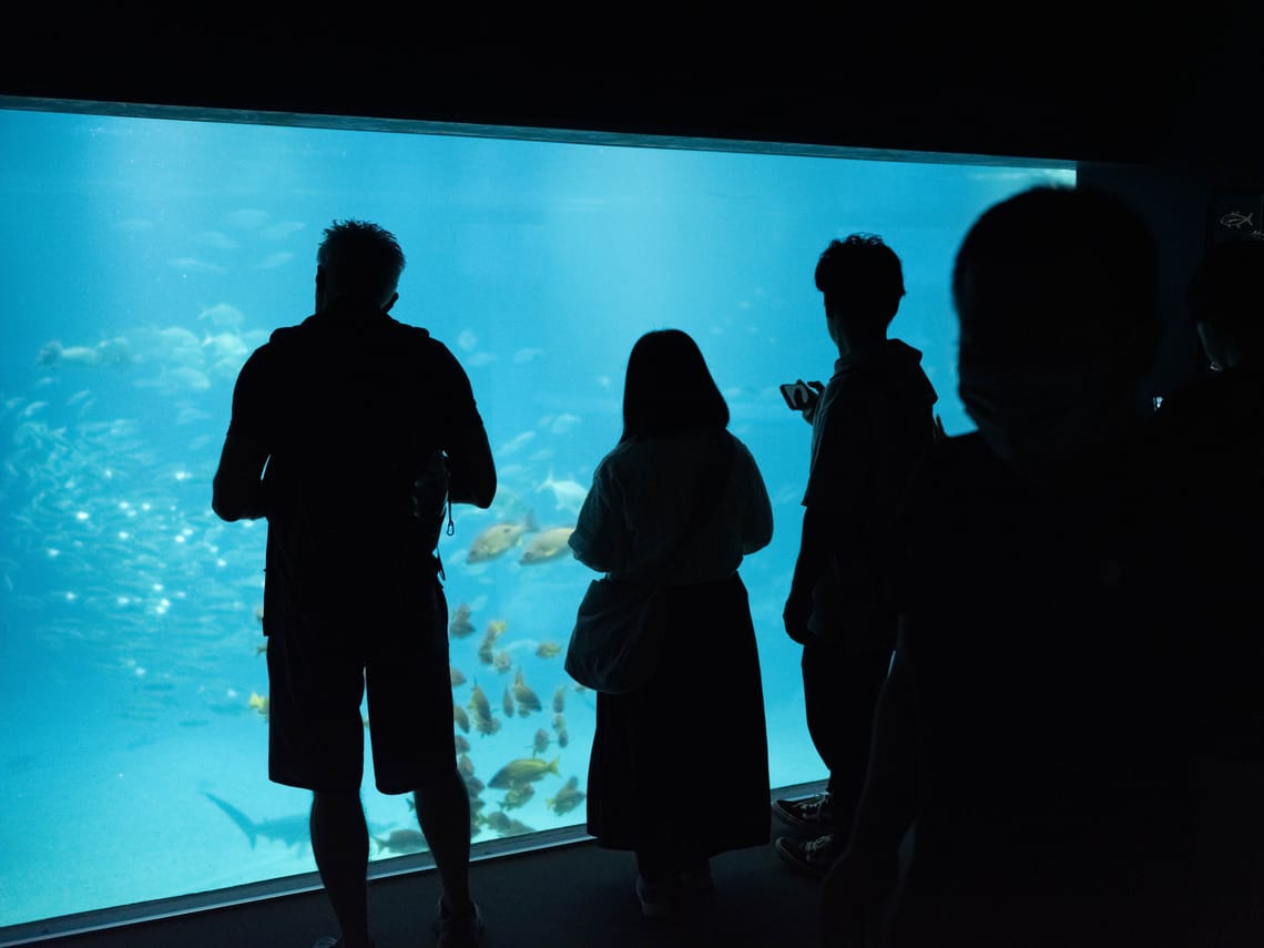 Silhouettes at Osaka Aquarium